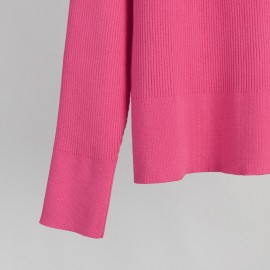Autumn Winter Trend All Match Simple Casual Polo Collar Collared Pullover Knitted Sweater